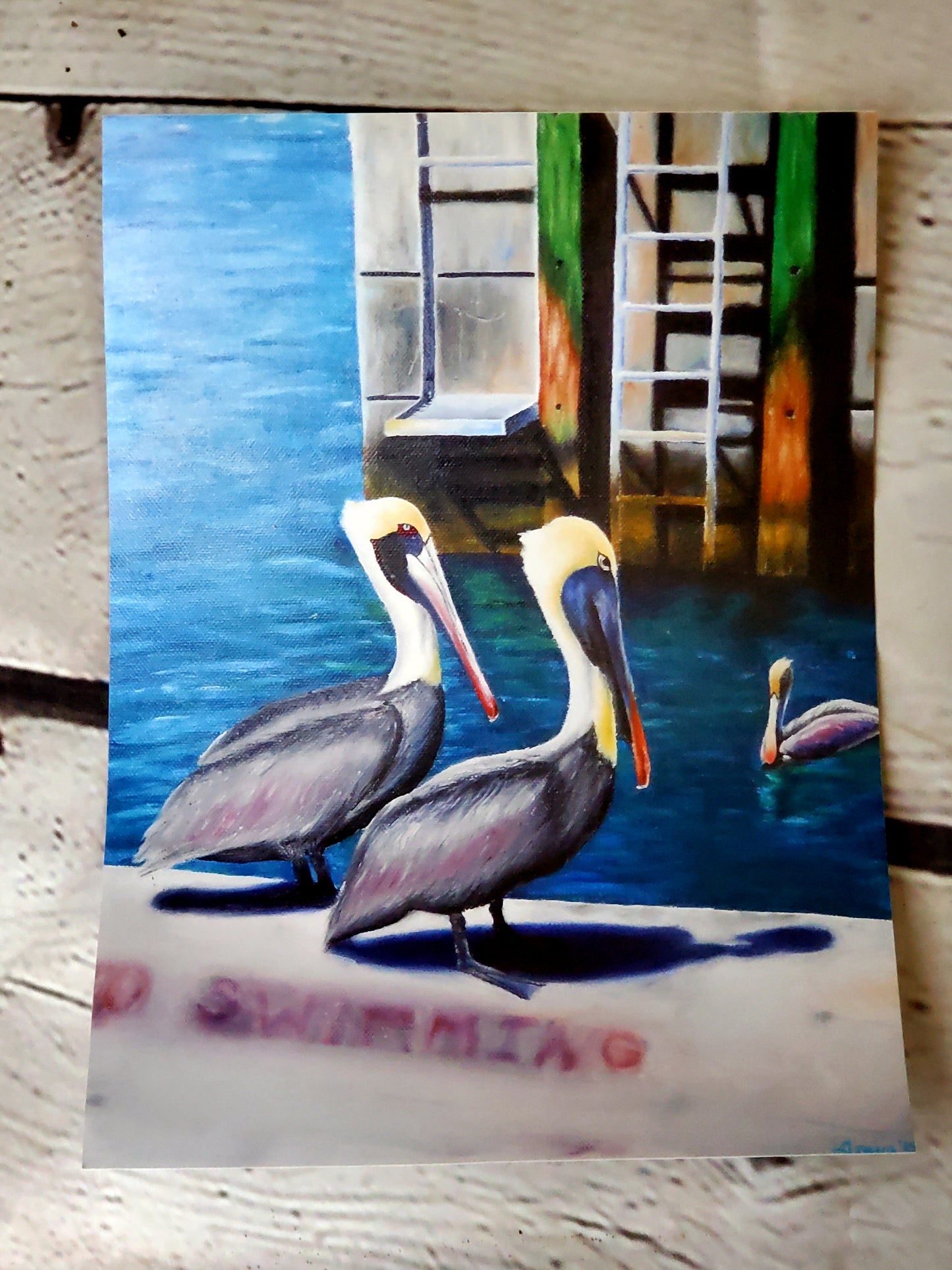 Pelicans of key west print