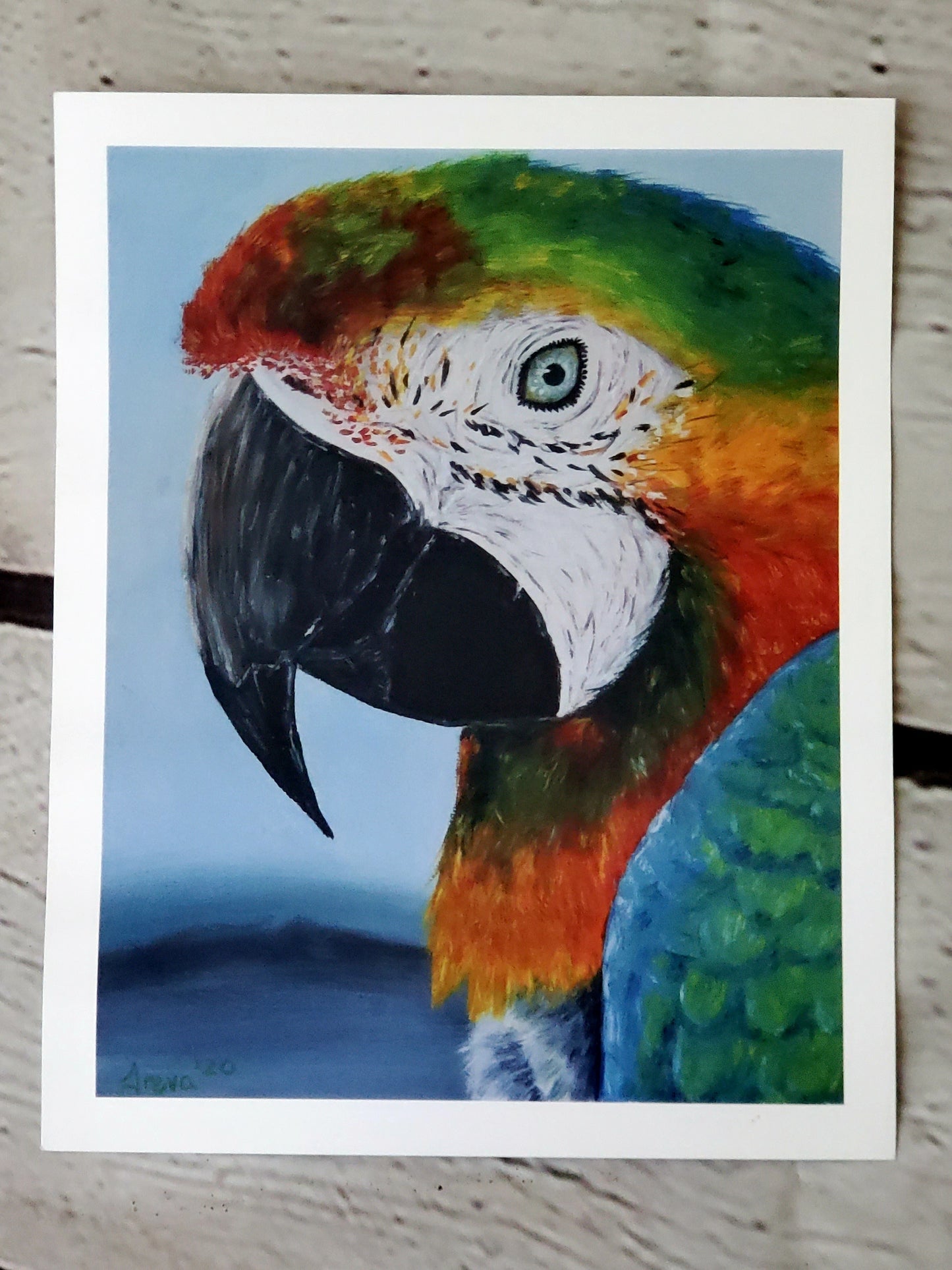 Parrot print