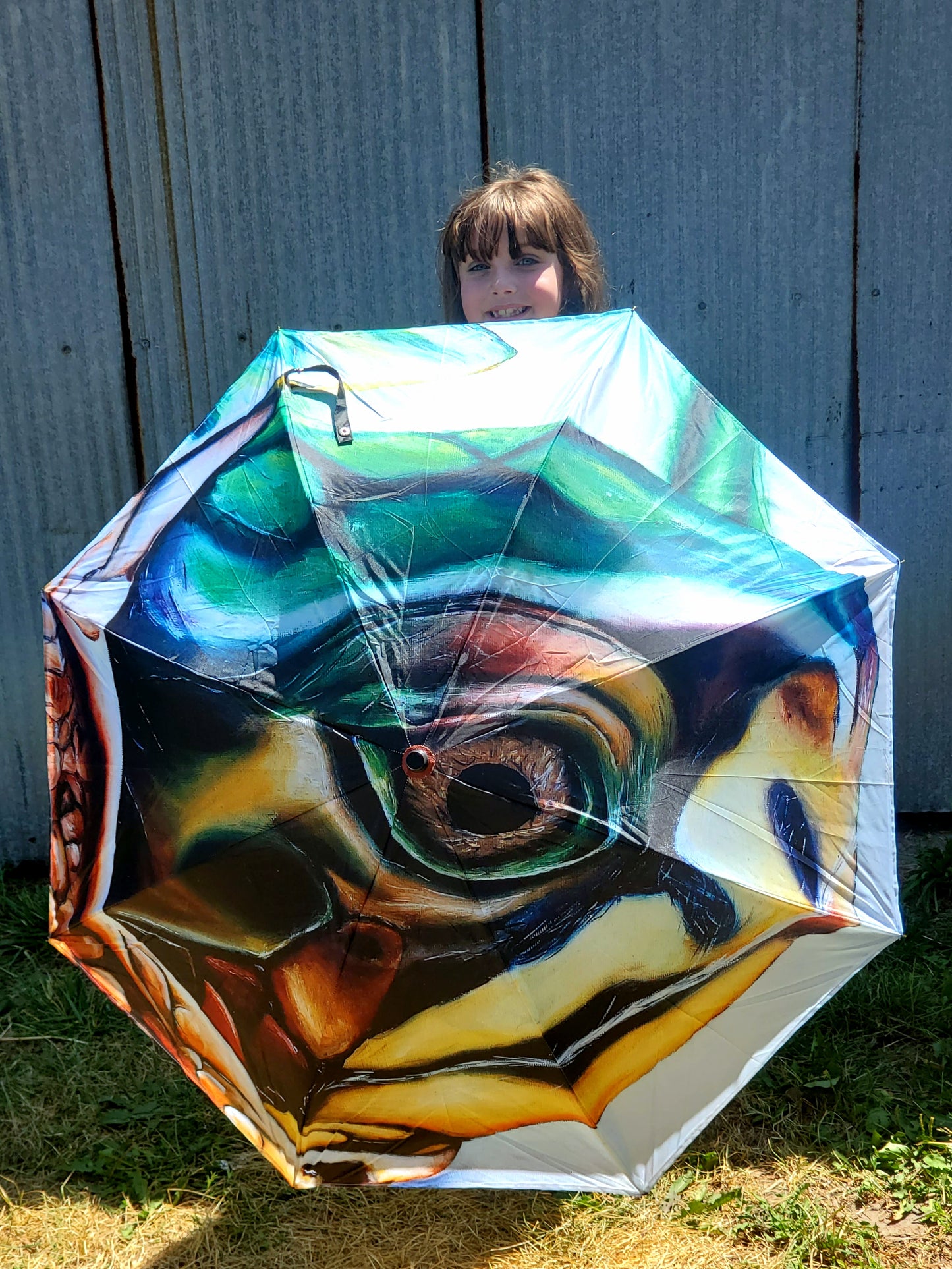 Box turtle umbrella