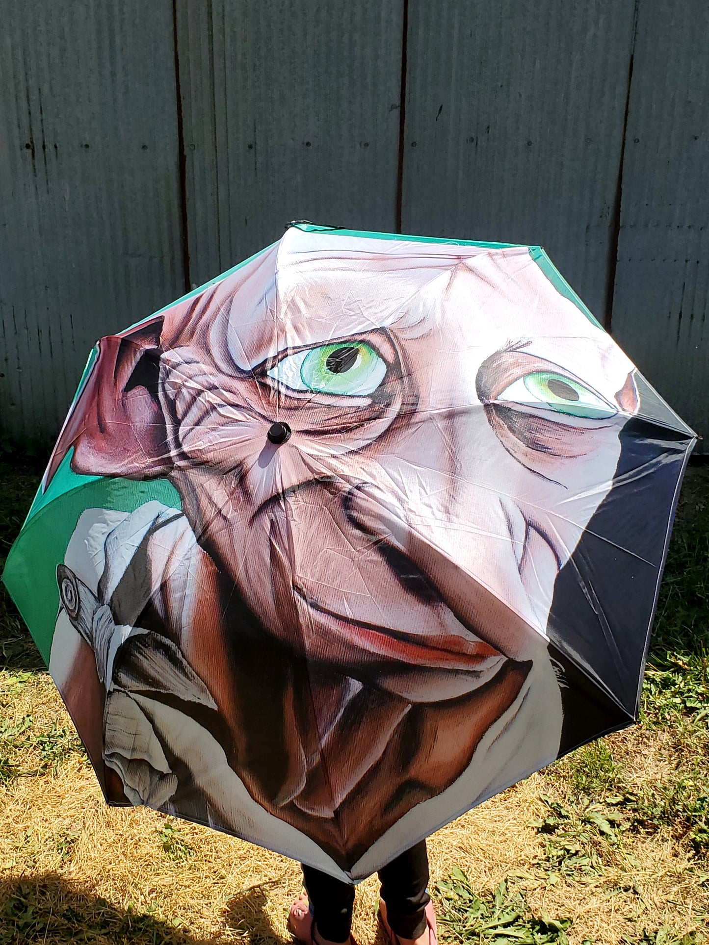 Dobby umbrella